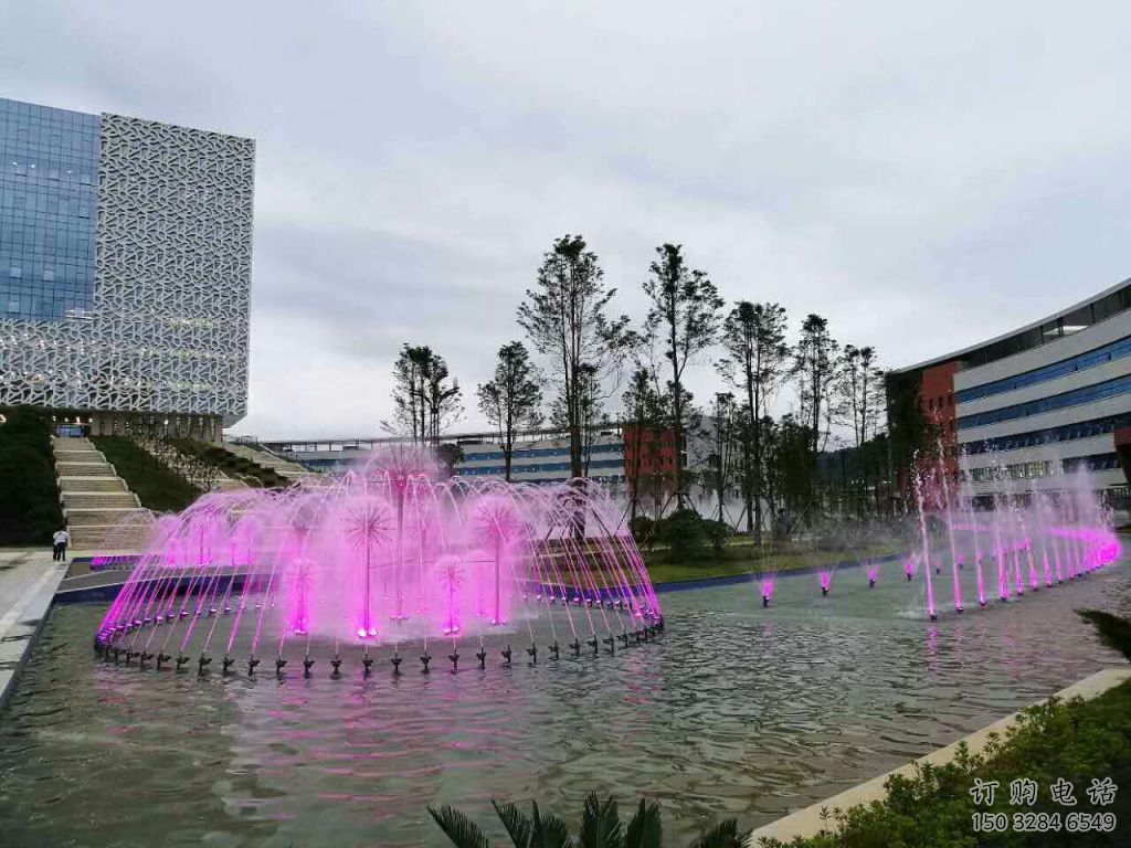 水景花樣噴泉雕塑廠家  娛樂(lè)場(chǎng)噴泉裝飾