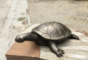 別墅烏龜?shù)袼軓S家 卡通噴漆小品 戶外抽象烏龜?shù)袼?/>
                    <strong>別墅烏龜?shù)袼軓S家 卡通噴漆小品 戶外抽象烏龜?shù)袼?/strong>
                  </a>
                </li>
                                <li>
                  <a href=