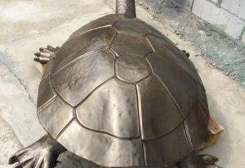 商業(yè)街烏龜?shù)袼軓S家 大型仿古擺件 步行街異形烏龜?shù)袼?/>
                    <strong>商業(yè)街烏龜?shù)袼軓S家 大型仿古擺件 步行街異形烏龜?shù)袼?/strong>
                  </a>
                </li>
                                <li>
                  <a href=