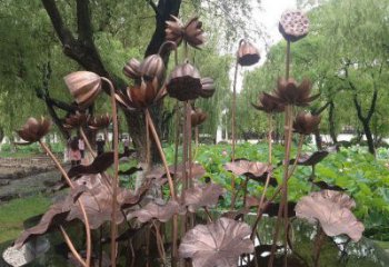 荷花雕塑擺件制造，藝術擺件，文化景觀銅荷花雕塑選定