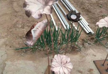 荷葉雕塑展品，室外軟裝，銅荷葉雕塑訂做廠家