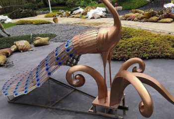 抽象孔雀雕塑預定，公園雕塑，不銹鋼孔雀雕塑承接