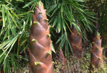 竹筍雕塑訂做，景觀雕塑，彩繪不銹鋼竹筍雕塑提供