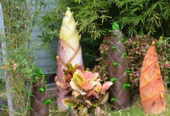 竹筍雕塑供需，小區(qū)雕塑，不銹鋼竹筍雕塑制造廠家