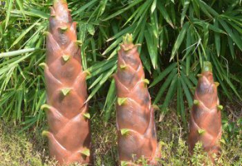 竹筍雕塑預定，創意雕塑，不銹鋼竹筍雕塑選用