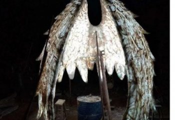 鳥翅雕塑供需，廣場雕塑，不銹鋼鳥翅雕塑定制