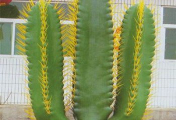 延安庭院仙人掌雕塑